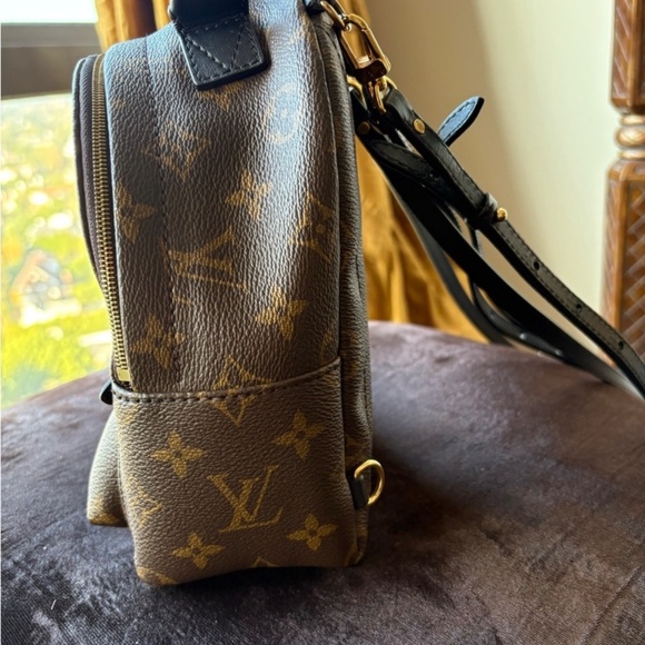 Louis Vuitton Palm Springs Mini - Picture 3 of 4